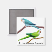 Quaker Parrots Magnet (Vorderseite/Rückseite)