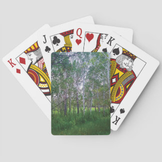 Quakies Playing Cards Spielkarten