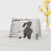 Quaking Aspen Bark Foto gefiltert Leere Inside Karte (Gelbe Blume)