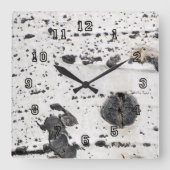 Quaking Aspen Bark Nah up Fotograf Quadratische Wanduhr (Vorderseite)