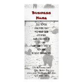 Quaking Aspen Bark Werbekarte (Vorne)