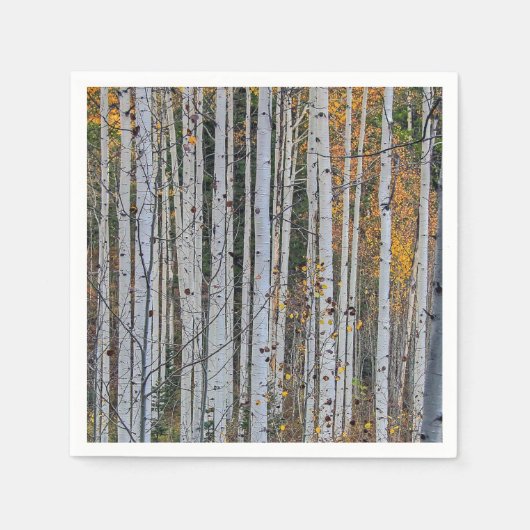 Quaking Aspen im Herbst Serviette (Vorderseite)