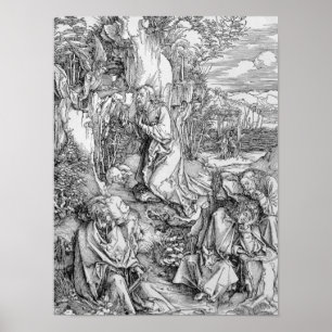 Qual im Garten Poster