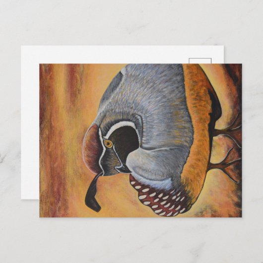 Qual Postkarte (Vorne/Hinten)