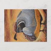 Qual Postkarte (Vorderseite)