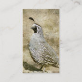 Qual Visitenkarte (Rückseite)