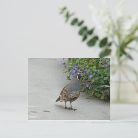 quälen postkarte (Stehend Vorderseite)