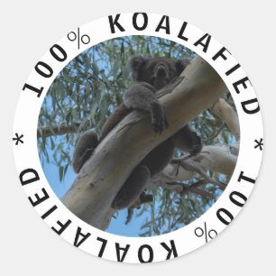 Qualifizierte Koalafied Niedlich Funny Koala in ei Runder Aufkleber