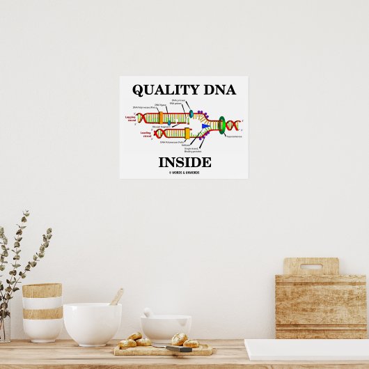 Qualitäts-DNA-Inside (DNA-Replikation) Poster (Küche)