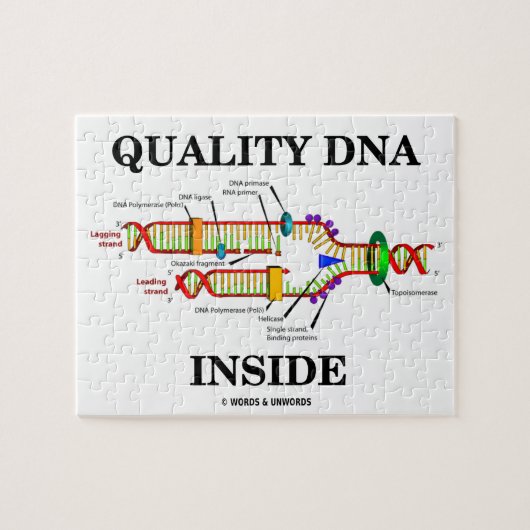 Qualitäts-DNA-Inside (DNA-Replikation) Puzzle (Horizontal)