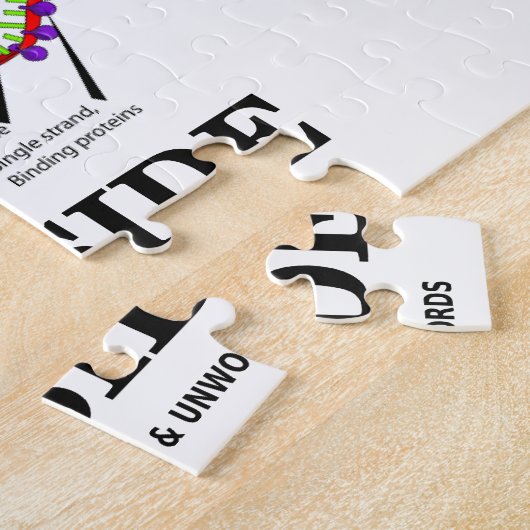 Qualitäts-DNA-Inside (DNA-Replikation) Puzzle (Seite)