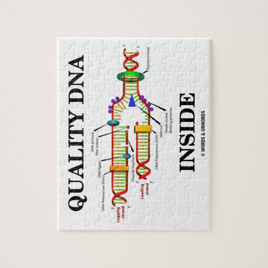 Qualitäts-DNA-Inside (DNA-Replikation) Puzzle (Vertikal)