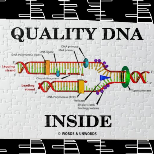 Qualitäts-DNA-Inside (DNA-Replikation) Puzzle