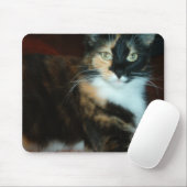 Qualitäts-Mausunterlage Fräuleins Calico Kitty Mousepad (Mit Mouse)