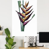 QUALITÄTSDruck für Heliconia Poster (Heimbüro)