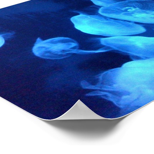 Qualle Bath Print Poster (Ecke)