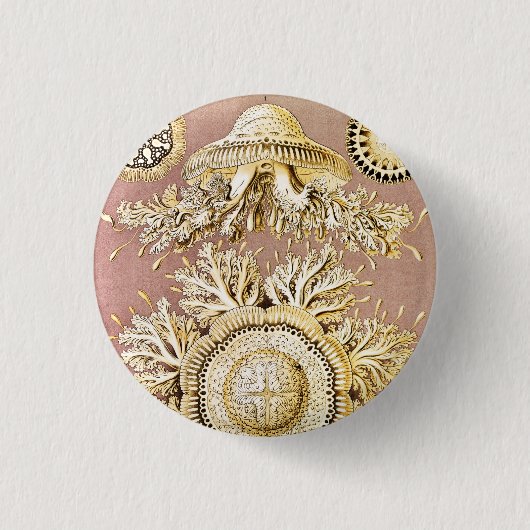 Qualle, Discomedusae von Ernst Haeckel Button (Vorderseite)