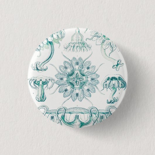 Qualle, Discomedusae von Ernst Haeckel Button (Vorderseite)