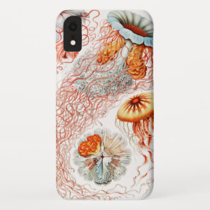 Qualle, Discomedusae von Ernst Haeckel Case-Mate iPhone Hülle