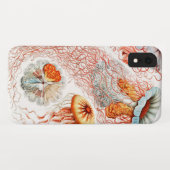 Qualle, Discomedusae von Ernst Haeckel Case-Mate iPhone Hülle (Rückseite (Horizontal))