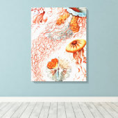 Qualle, Discomedusae von Ernst Haeckel Leinwanddruck (Insitu (Holzboden))