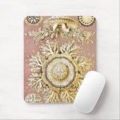Qualle, Discomedusae von Ernst Haeckel Mousepad (Mit Mouse)