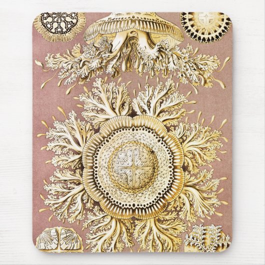 Qualle, Discomedusae von Ernst Haeckel Mousepad (Vorne)