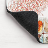 Qualle, Discomedusae von Ernst Haeckel Mousepad (Ecke)