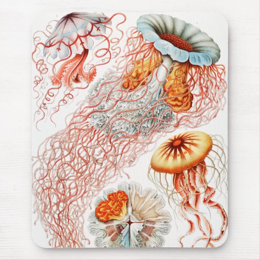 Qualle, Discomedusae von Ernst Haeckel Mousepad (Vorne)