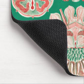 Qualle, Discomedusae von Ernst Haeckel Mousepad (Ecke)