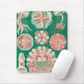 Qualle, Discomedusae von Ernst Haeckel Mousepad (Mit Mouse)