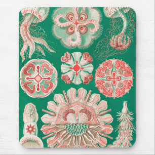 Qualle, Discomedusae von Ernst Haeckel Mousepad