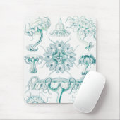 Qualle, Discomedusae von Ernst Haeckel Mousepad (Mit Mouse)
