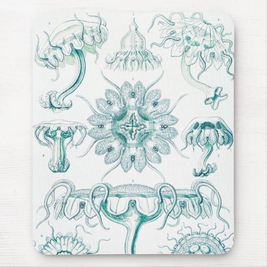 Qualle, Discomedusae von Ernst Haeckel Mousepad (Vorne)