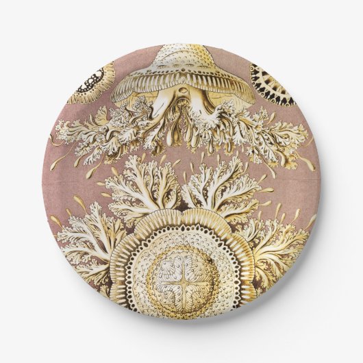 Qualle, Discomedusae von Ernst Haeckel Pappteller (Vorderseite)