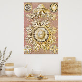 Qualle, Discomedusae von Ernst Haeckel Poster (Küche)
