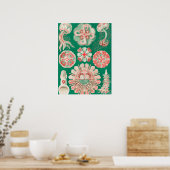 Qualle, Discomedusae von Ernst Haeckel Poster (Küche)