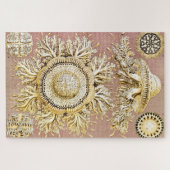 Qualle, Discomedusae von Ernst Haeckel Puzzle (Horizontal)