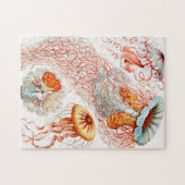 Qualle, Discomedusae von Ernst Haeckel Puzzle (Horizontal)