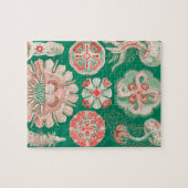 Qualle, Discomedusae von Ernst Haeckel Puzzle (Horizontal)