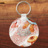 Qualle, Discomedusae von Ernst Haeckel Schlüsselanhänger (Vorderseite)