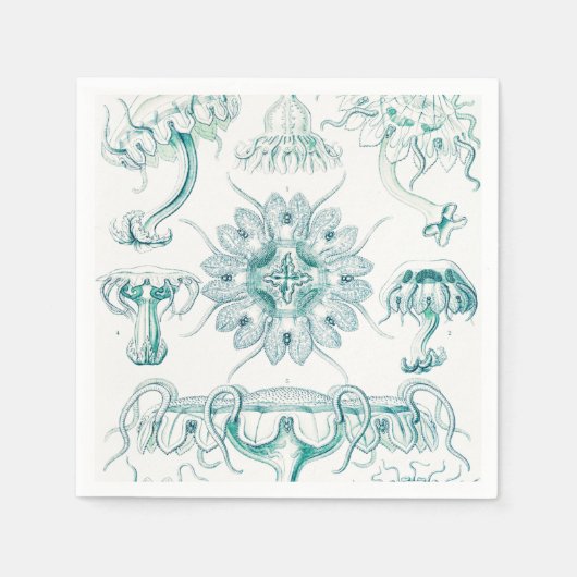 Qualle, Discomedusae von Ernst Haeckel Serviette (Vorderseite)