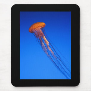 Qualle Mousepad