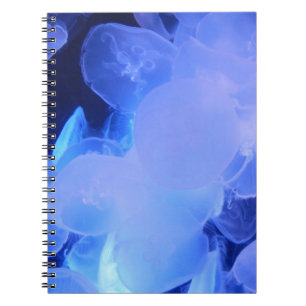 QUALLE-NOTIZBUCH NOTIZBLOCK