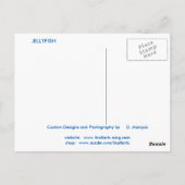 Qualle Postkarte (Rückseite)