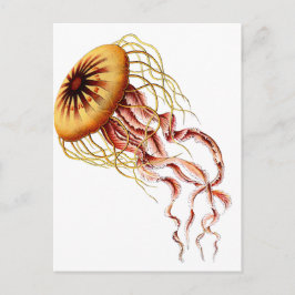 Qualle Postkarte