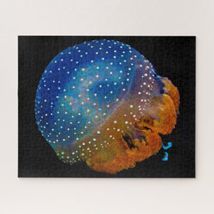 Qualle Puzzle