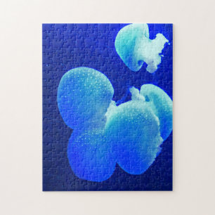 Qualle. Puzzle