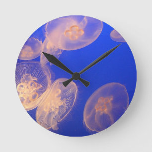 Qualle Runde Wanduhr
