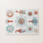 Qualle, Siphonophorae Staatsquallen Seeverkehr Puzzle (Horizontal)